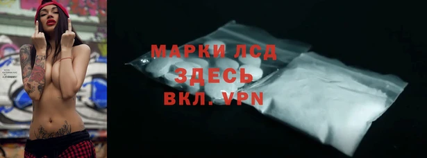 хмурый Бородино