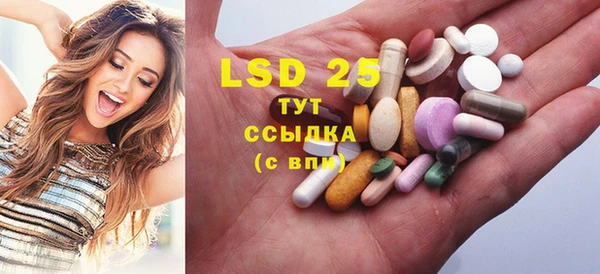 хмурый Бородино