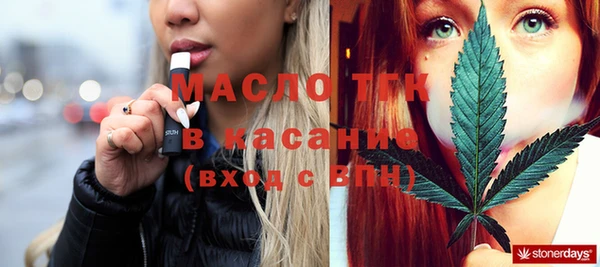 хмурый Бородино